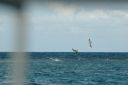 bz20050713_144356.jpg