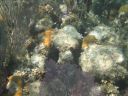 bz20050714_124906.jpg