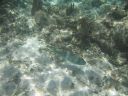 bz20050714_125012.jpg