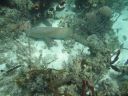 bz20050714_125244.jpg