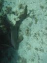 bz20050714_125854.jpg