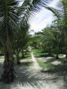 bz20050715_111718.jpg
