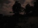 bz20050715_193602.jpg