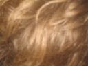 bz20050715_200700.jpg