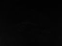 bz20050715_201312.jpg