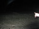 bz20050715_213850.jpg