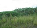 bz20050717_075358.jpg