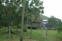 bz20050717_075630.jpg