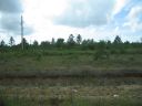 bz20050717_075818.jpg
