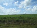 bz20050717_080518.jpg