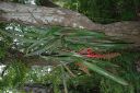 bz20050717_095206.jpg