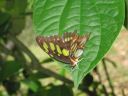 bz20050717_110908.jpg