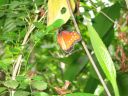 bz20050717_111056.jpg
