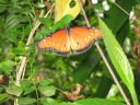 bz20050717_111106.jpg