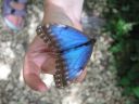 bz20050717_112652.jpg