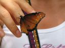 bz20050717_112720.jpg