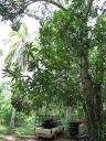 bz20050717_114346.jpg