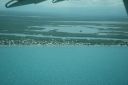 bz20050718_121548.jpg