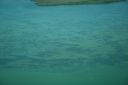 bz20050718_124622.jpg