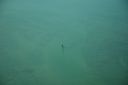 bz20050718_124708.jpg