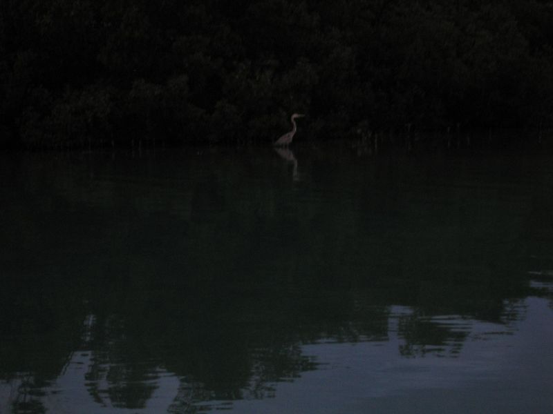 bz20050703_162746.jpg