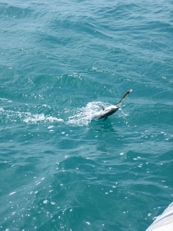 bz20050704_121736.jpg