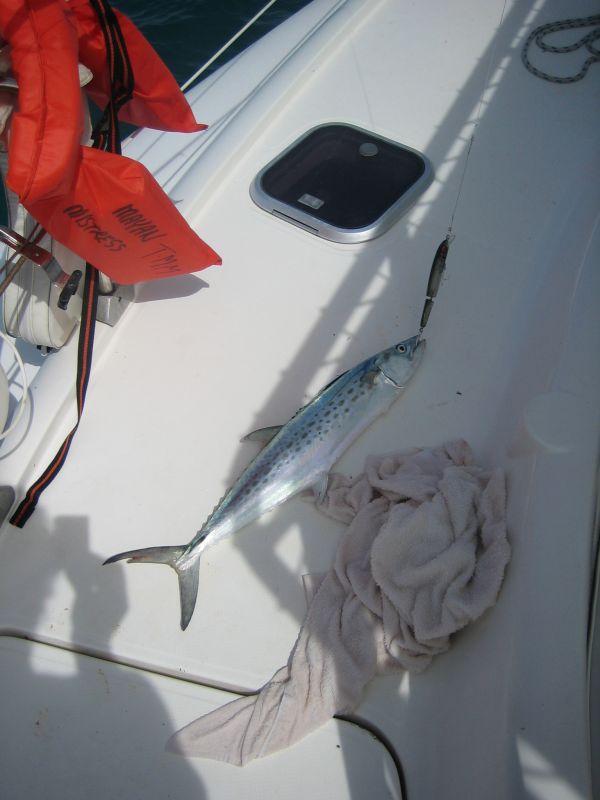 bz20050704_122002.jpg
