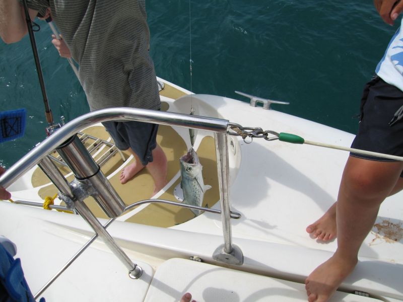 bz20050704_122118.jpg