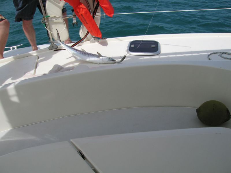 bz20050704_122204.jpg