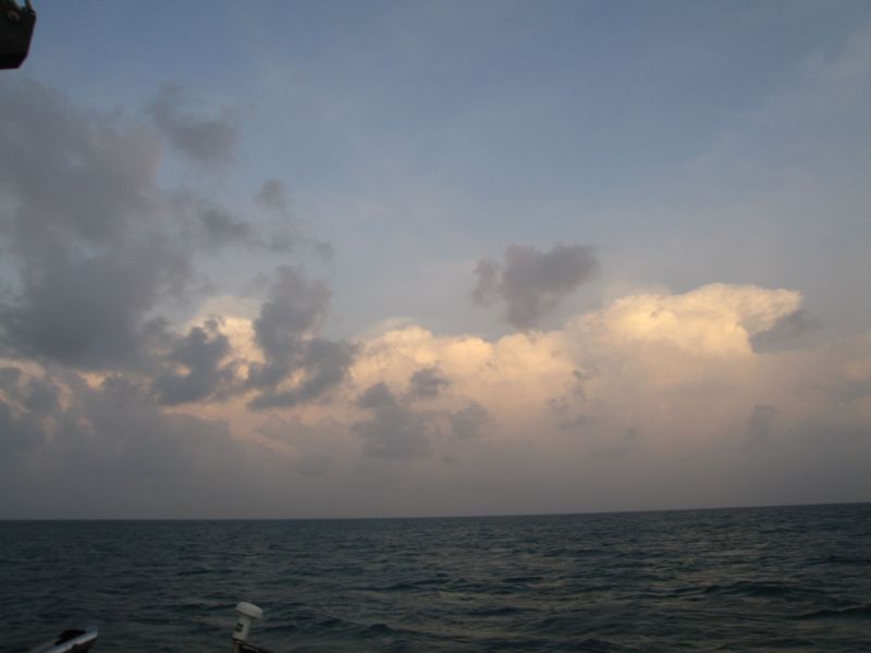 bz20050705_033102.jpg