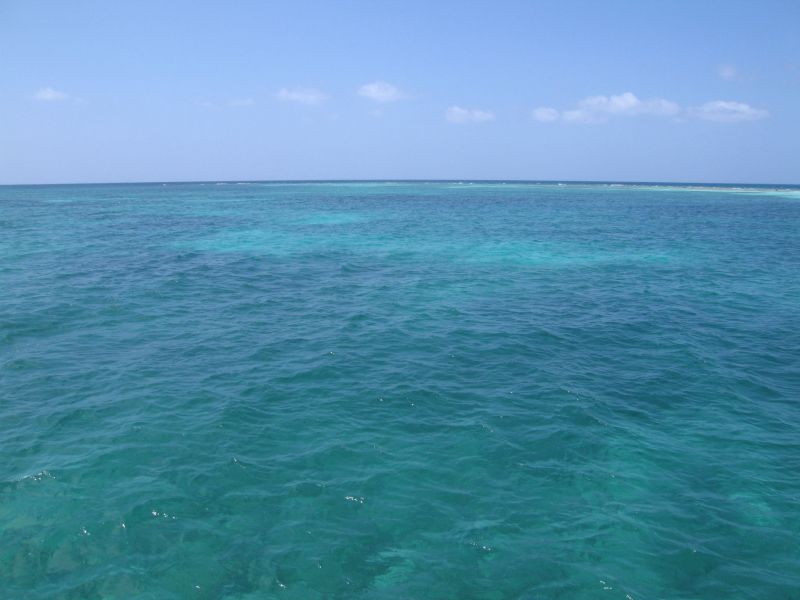 bz20050705_114254.jpg