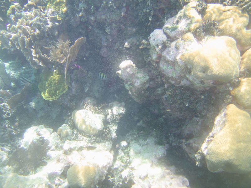 bz20050706_101024.jpg