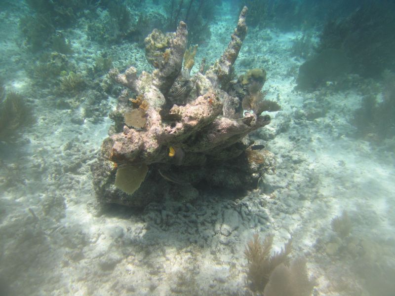 bz20050706_102504.jpg