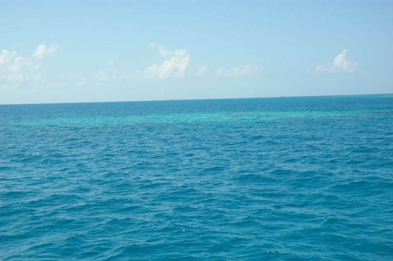 bz20050706_121444.jpg
