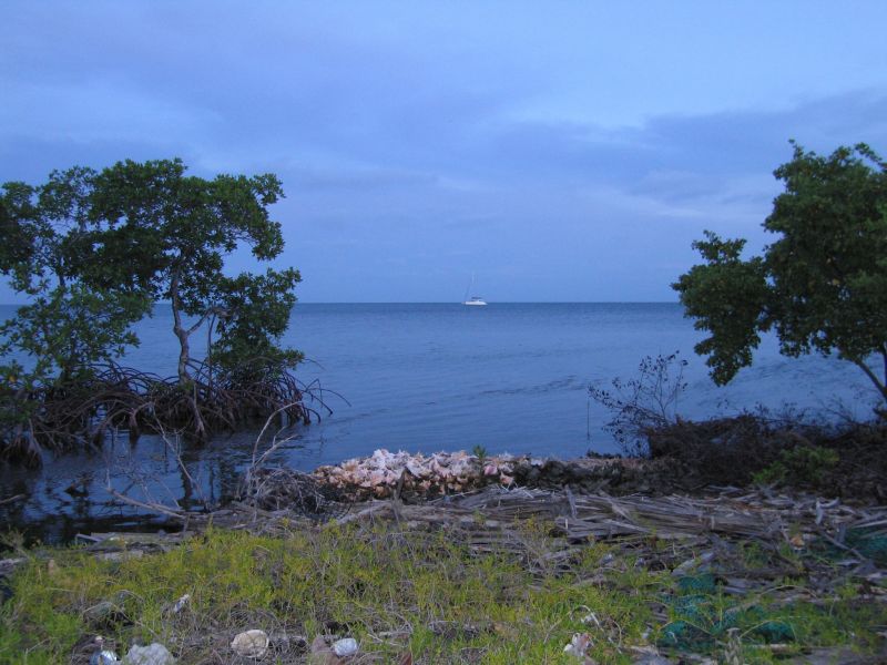 bz20050706_163306.jpg