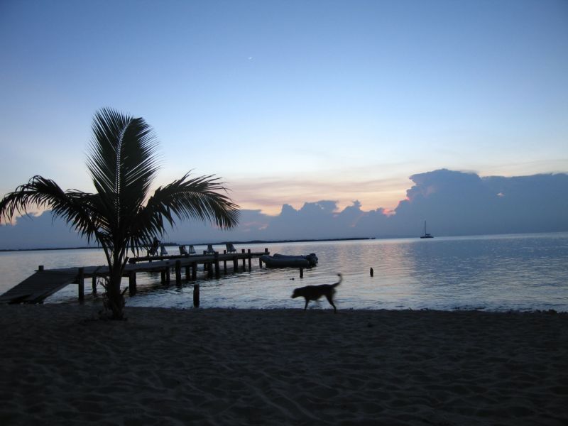 bz20050708_174208.jpg