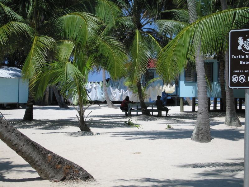 bz20050709_122136.jpg