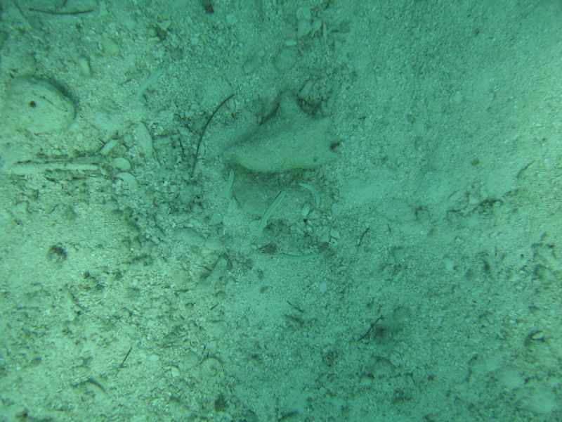 bz20050709_131750.jpg