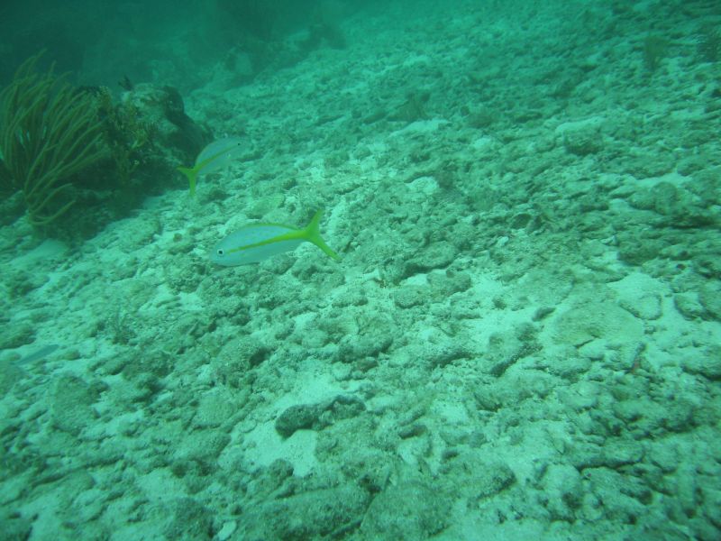 bz20050709_132542.jpg