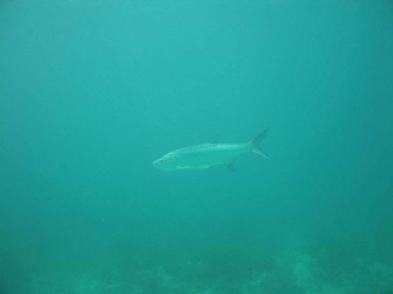 bz20050709_132634.jpg