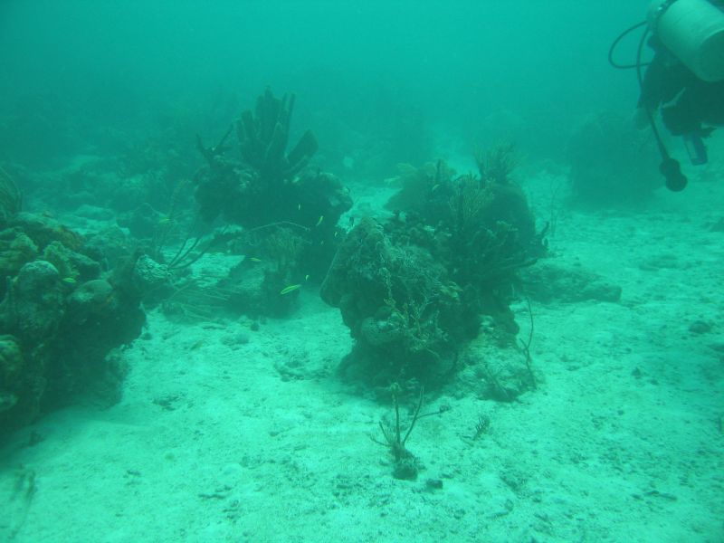 bz20050709_133002.jpg