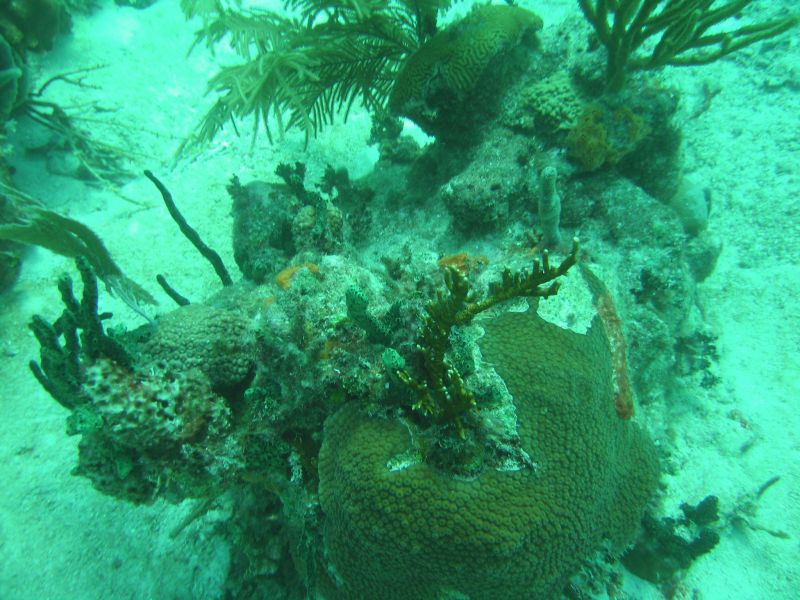 bz20050709_133024.jpg
