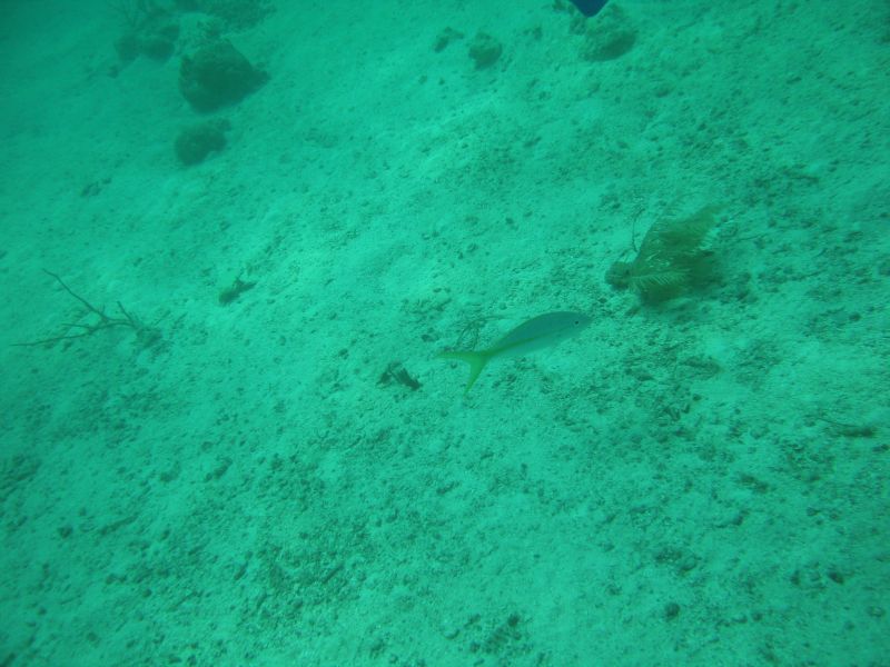 bz20050709_133144.jpg