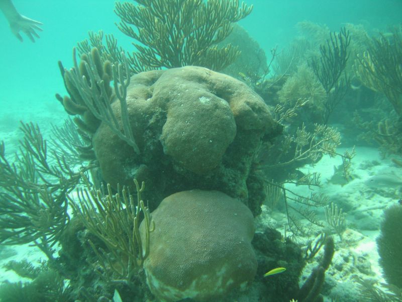 bz20050709_133648.jpg