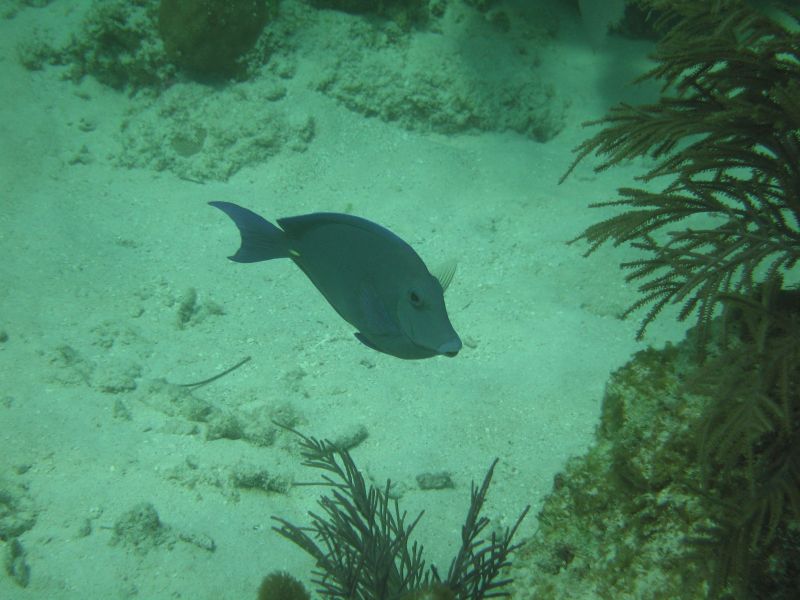 bz20050709_133744.jpg