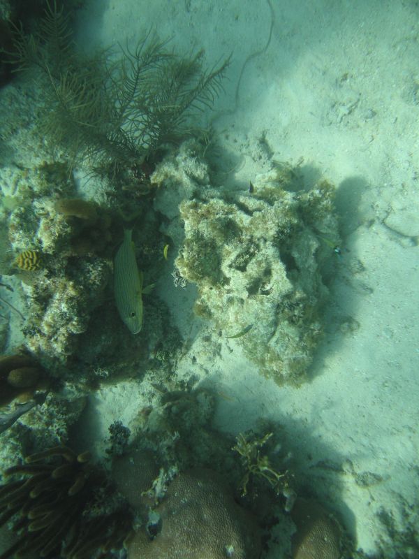 bz20050709_134002.jpg