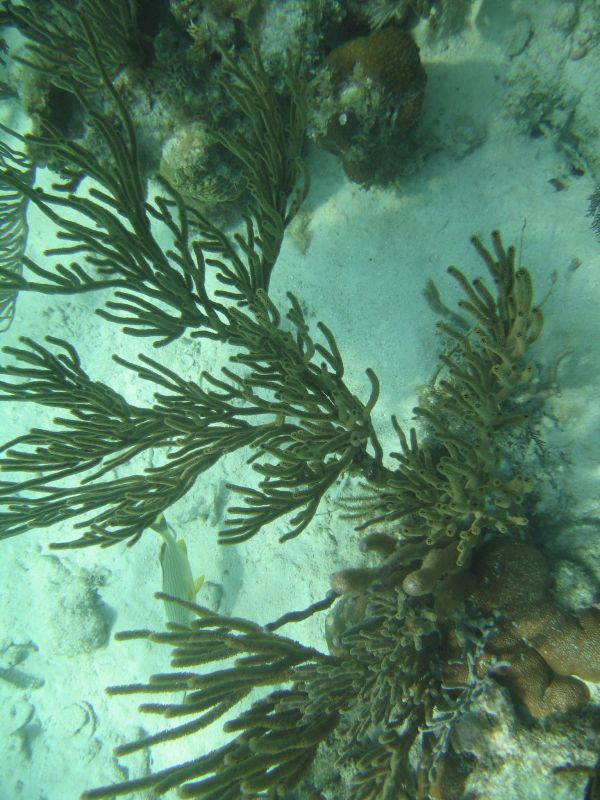 bz20050709_134008.jpg