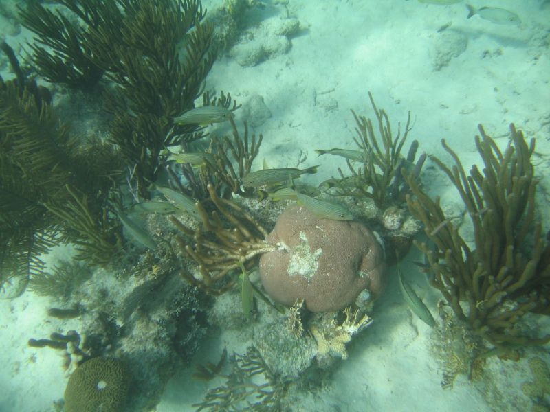 bz20050709_134146.jpg