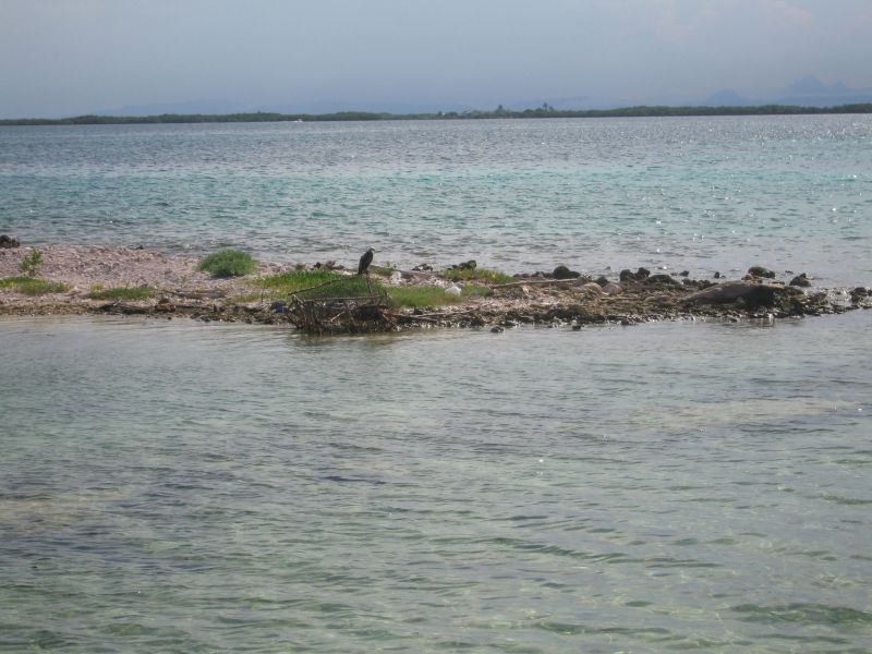 bz20050709_140308.jpg