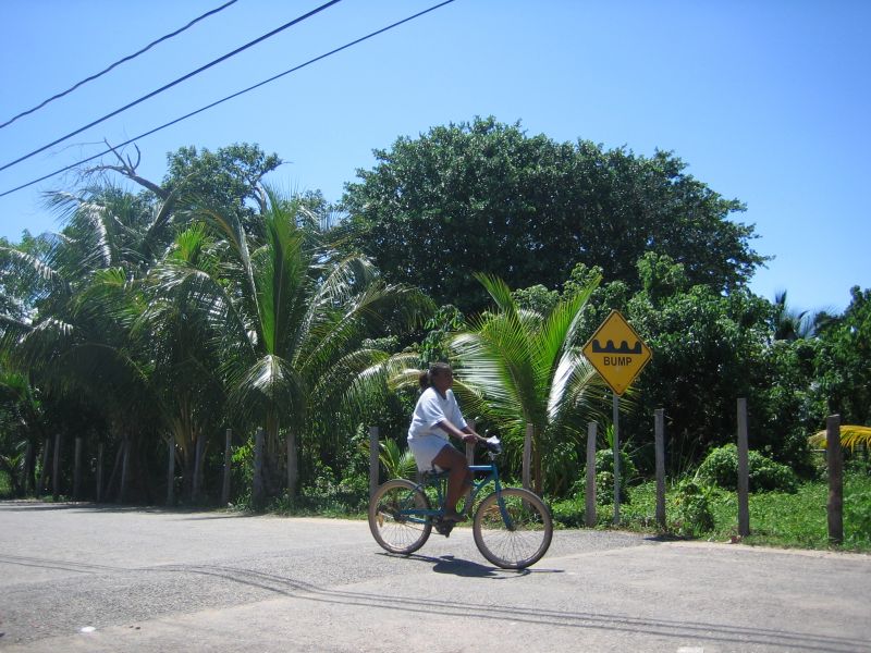 bz20050711_114228.jpg